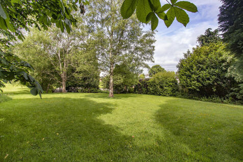 Communal Garden