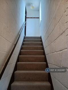 Entrance Stairs