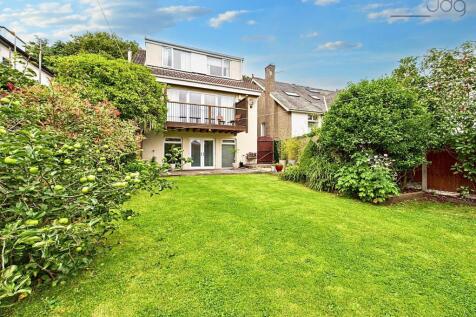 Rear of the Property