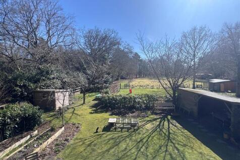 Grd elevated view 1.JPG