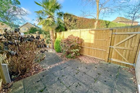 WhatsApp Image 20...