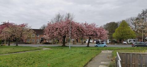 Views from the front of the property in full bloom