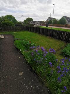 Bonkle Road, Wishaw, Lanarkshire, ML2 photo 4