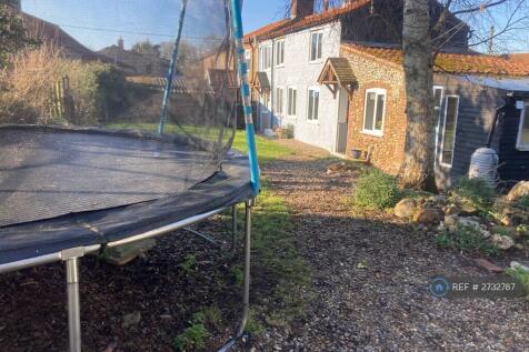 Trampoline And Garden