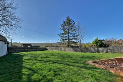 Back Garden