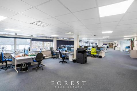 Hille  Watford11.jpg