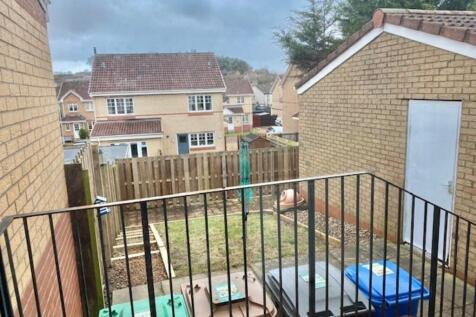 Back Garden