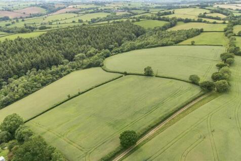 1463310 (12).jpg