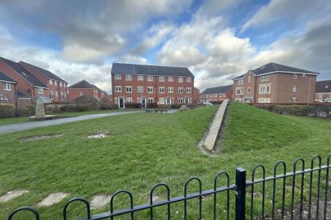 IMG_5887