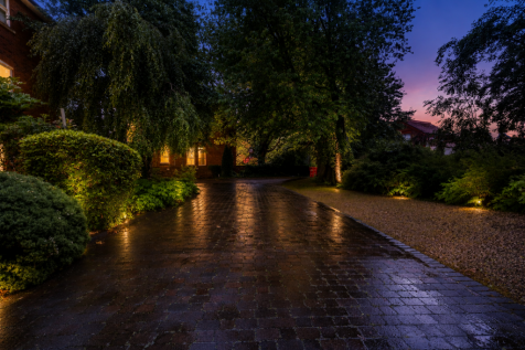 Communal Gardens (night Shot)