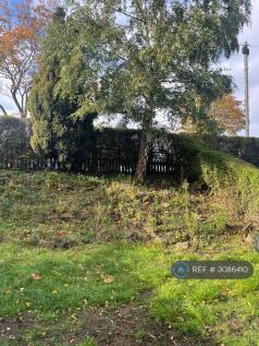 Front Garden Autumn