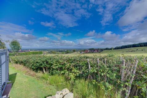 DSC_9541-DSC_9545.jpg