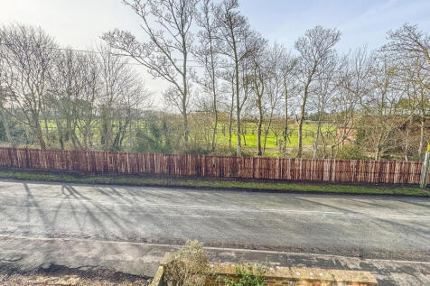 20260217_113850635_iOS_edited