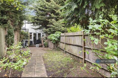 Back Garden