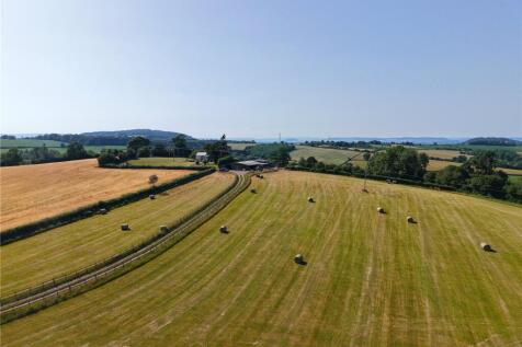 Picture No. 12