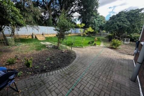 Rear garden14.jpg