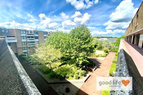 Image (7).jpg
