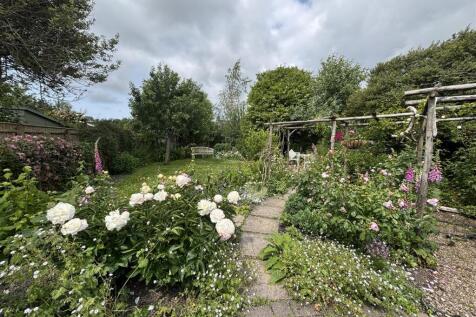 Garden during Summer