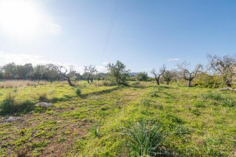 Land with license to build