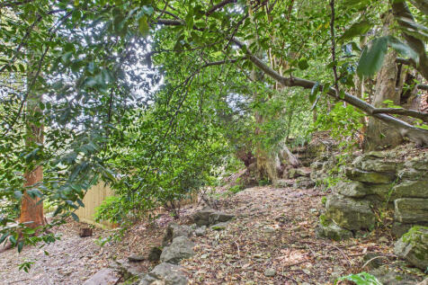 Woodland
