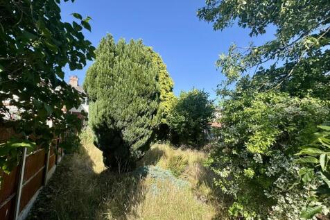 IMG_7159.JPEG