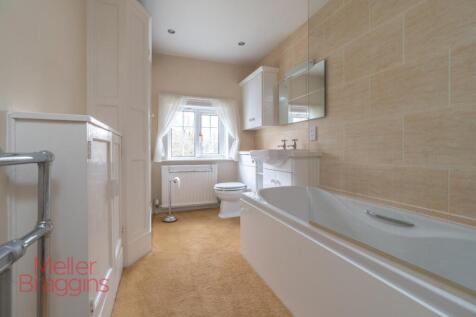 20250321-20250321-DSC07292 (2).jpg