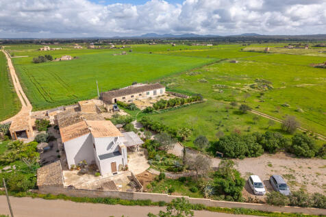 Birdview