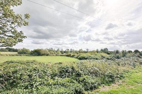 View from the front 