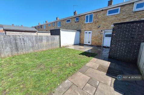 Back Garden 
