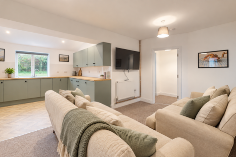 Living Room and Kitchen