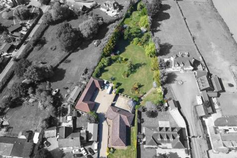 imageedit_1_60496...