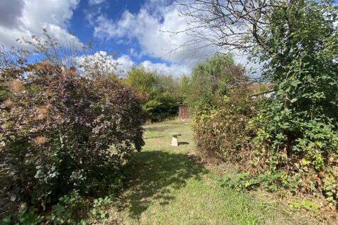 Garden 4.jpeg