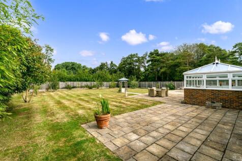 Meadow View July 2025 Final-44.jpg