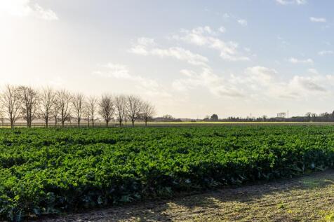 Bon Nuit (Freiston)-14