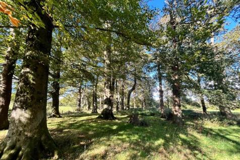 Photo 08-10-2025, 14 31 25.jpg