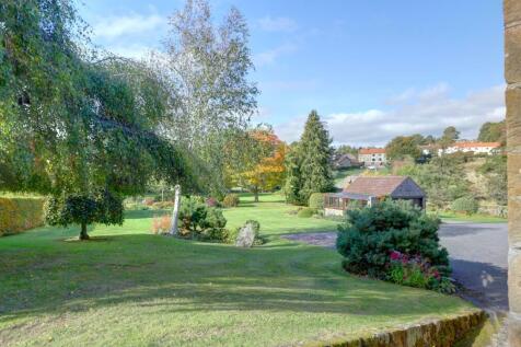 View from cottage