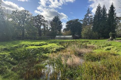 IMG 1750 T202510281537.jpg