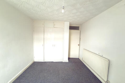 IMG 7137 T202511051328.jpg