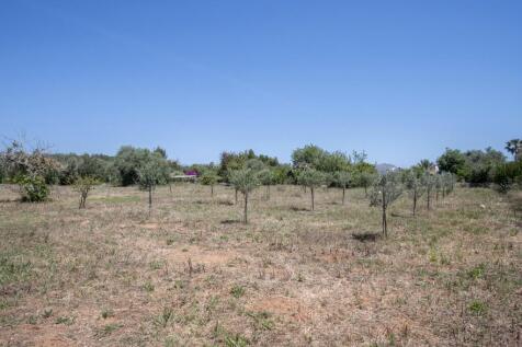 Finca Living-2