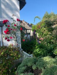 Garden 5.jpg