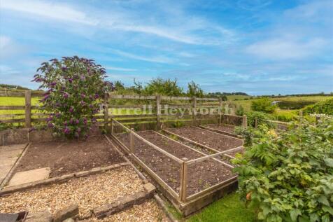 Rear Garden image 3