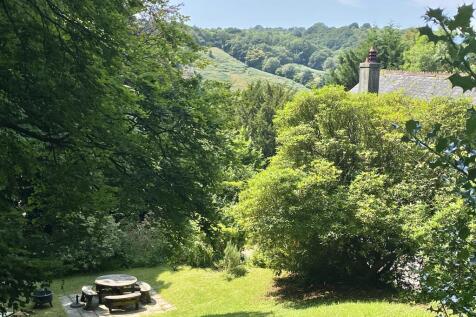 View from Top of Garden