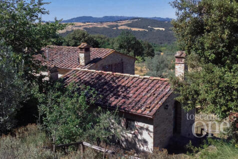 WhatsApp Image 2022-