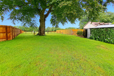 the-barn_00042