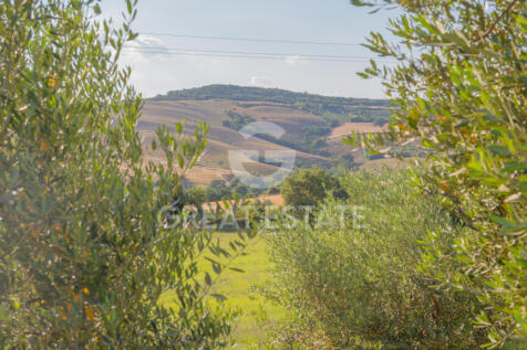 Panorama e Particolari