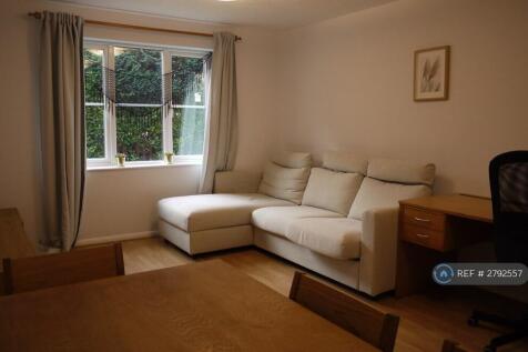 Living Room, Light In The Afternoon Evening