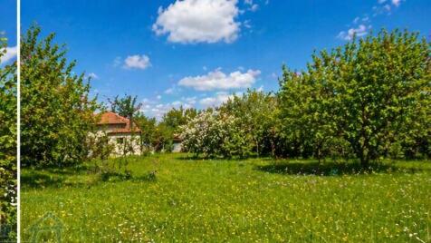 Property Image 65