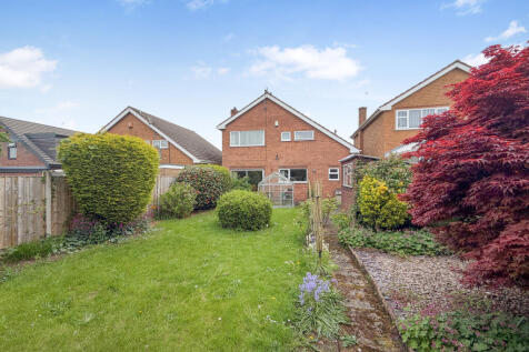 Back garden