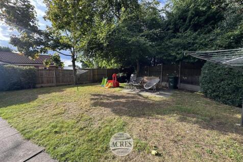 IMG_0129 (Large).jpg