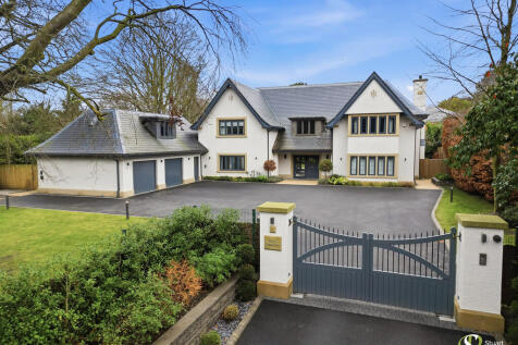 3 Tall Timbers Ex...